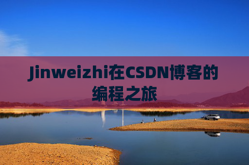 Jinweizhi在CSDN博客的编程之旅
